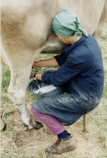 clicca sulla foto per ingrandire